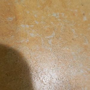 Meet your Posher, Darren